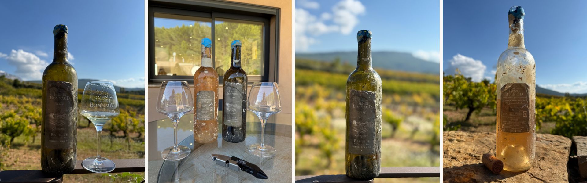 Dégustation de vins immergés – Quand la mer devient cave 🌊