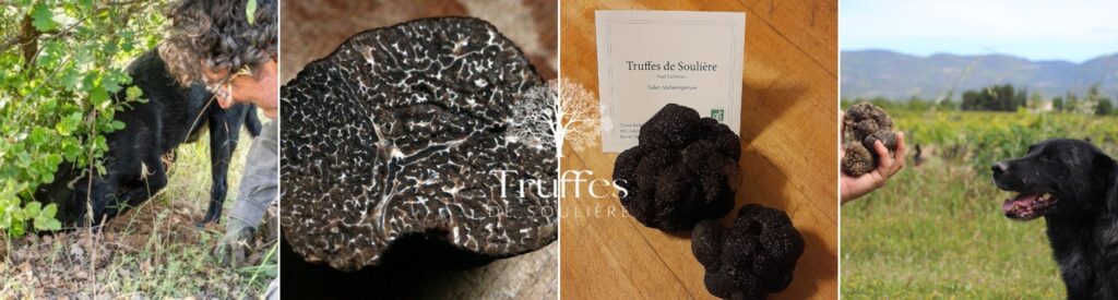 Les Truffes de Soulière - vente de truffes sur place. Exposant Marché de Noël Aix-en-Provence.