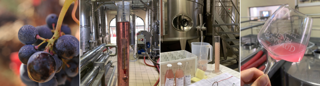 AOC Côtes de Provence Cru Sainte-Victoire Millésime 2025 - Château Henri Bonnaud